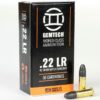 Gemtech 22LR Subsonic 42gr
